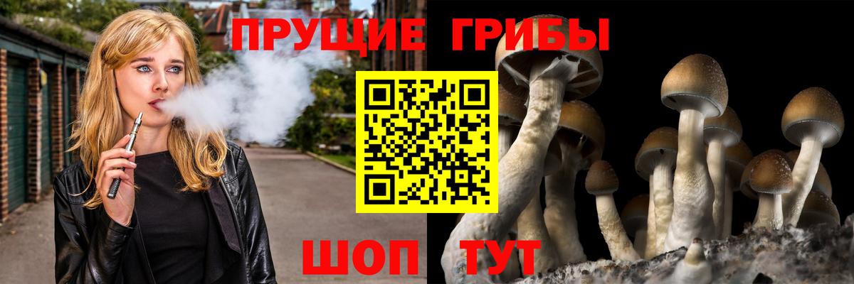 Псилоцибиновые грибы Magic Shrooms Среднеуральск